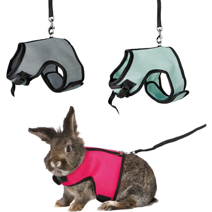 Meilleurs prix pour Harnais avec laisse pour lapins nains - ANIMALLPARADISE - doux et confortable - dimensions 14-19 cm et 25-32 cm