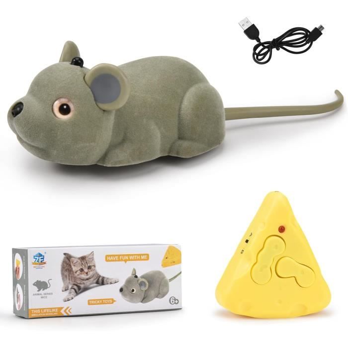 Peluche Interactive Chat ZGZBLOCK Télécommandée - Marche, Miaule, Remue Queue - Accessoires Inclus