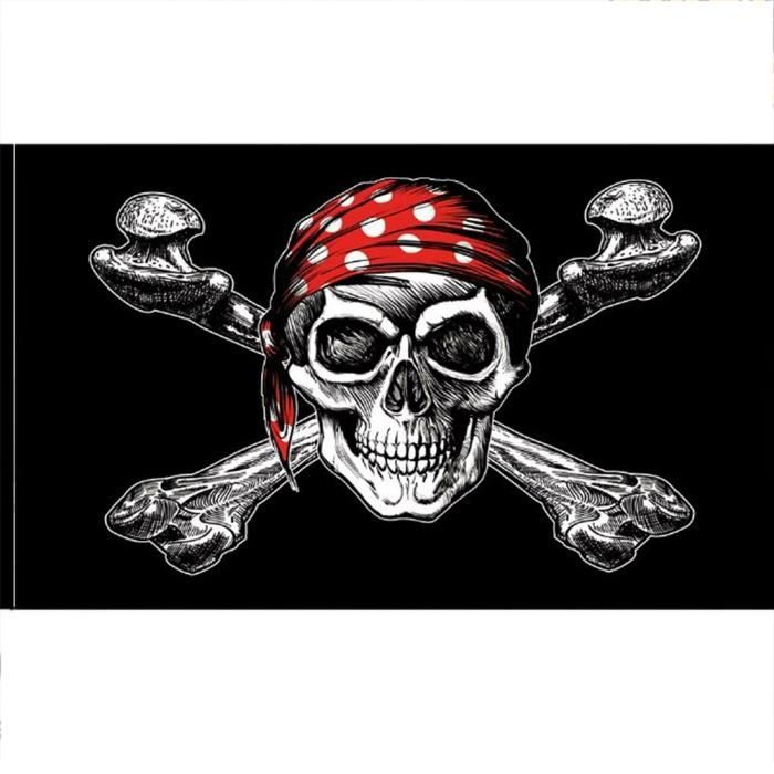Drapeau Pirate 100 x 150 cm