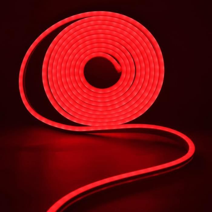Bande LED Néon 5 Mètres - Eclairage Flexible avec Adaptateur Pile AA