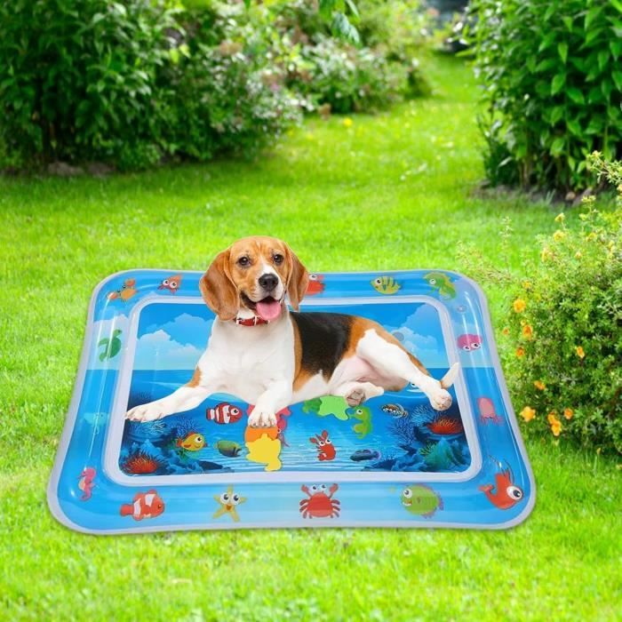 Tapis Jet D’Eau Épaissi 170 Cm – Toile D’Araignée Anti-Dérapant – Splash Pad Pour Enfants Et Chiens – Jeu D’Eau Extérieur Pour Jardin, Plage Ou Piscine