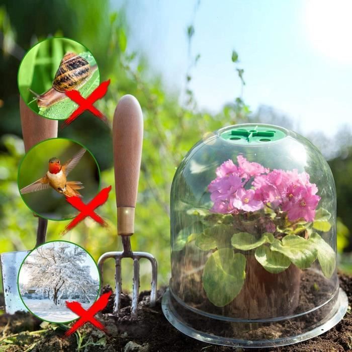 Lot De 50 Cloches De Protection Tomate & Légumes – Mini Serres Plastique Transparentes Anti-Gel Pour Jeunes Plants, Lits Surélevés, Germination