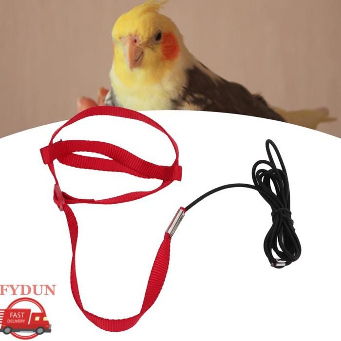 FYDUN Laisse doiseau Corde etapos entraînement Au Vol Réglable Pour Perroquet Légère Facile animalerie jouet Rouge XL Rouge L
