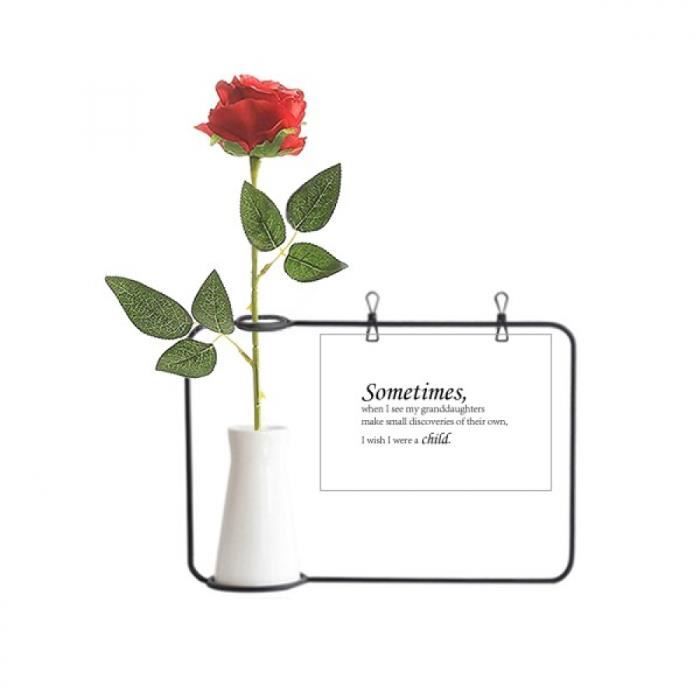 Les Citations Entre Petit Et Grand Pere Bouteille De Decoration De Vases Suspendus De Fleur De Rose Artificielle Achat Vente Fleur Artificielle Cdiscount