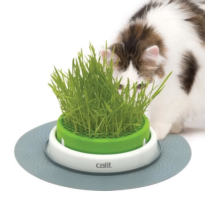CATIT Jardin d'herbe à chat Senses 2.0