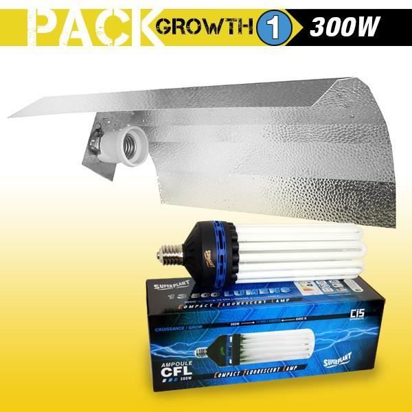 KIT CFL 300W CROISSANCE 1