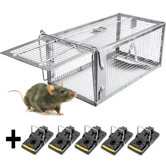 PièGe à Souris, Humain PièGes à Rat Cage Convient Aux Souris Accrocheuses Ou Aux Hamsters,1+5 Pièges à Souris