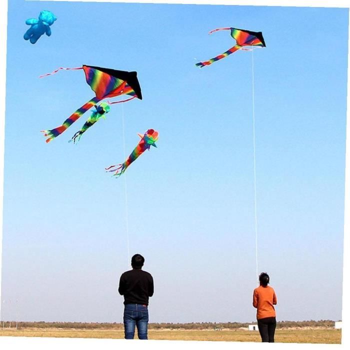 Grandes cerfs-volants arc-en-ciel, queue à longue queue douce Flyer Easy  Rainbow Kite pour enfants et audlts avec 100 m chaîne 210x1