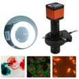 Caméra de microscope vidéo numérique électronique industrielle USB 48MP HDMI sans batterie Prise US 100-240V-REN-3