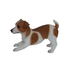 Chien Jack Russel Achat Vente Pas Cher
