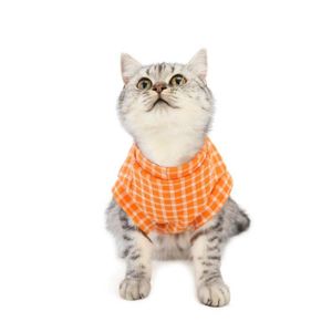 Vetement Pour Chat Cdiscount Vetement Pour Chat Cdiscount
