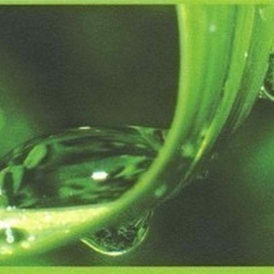 Frises Pour Piscine - Frise Autocollante Mosaique Ligne D'eau Piscine