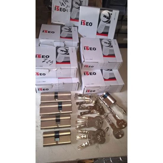 Lot De 5 Cylindres De Serrure Haute Sécurité ISEO R6 – Entrebâilleur – Dimensions Au Choix