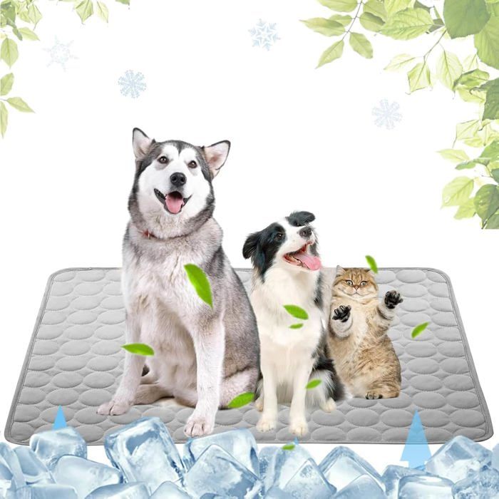 Tapis Rafraîchissant pour Chiens et Chats Coussin de Tapis de Refroidissement en Soie Glacée Respirant Non Toxique 100 * 150CM Gris
