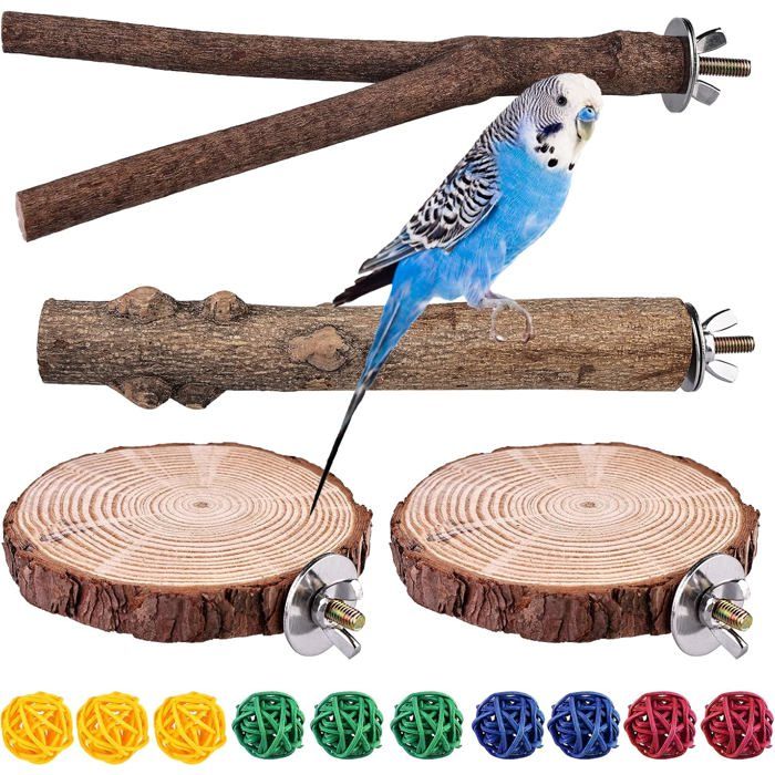 Perchoir Perroquet en Bois Naturel format pratique et polyvalent