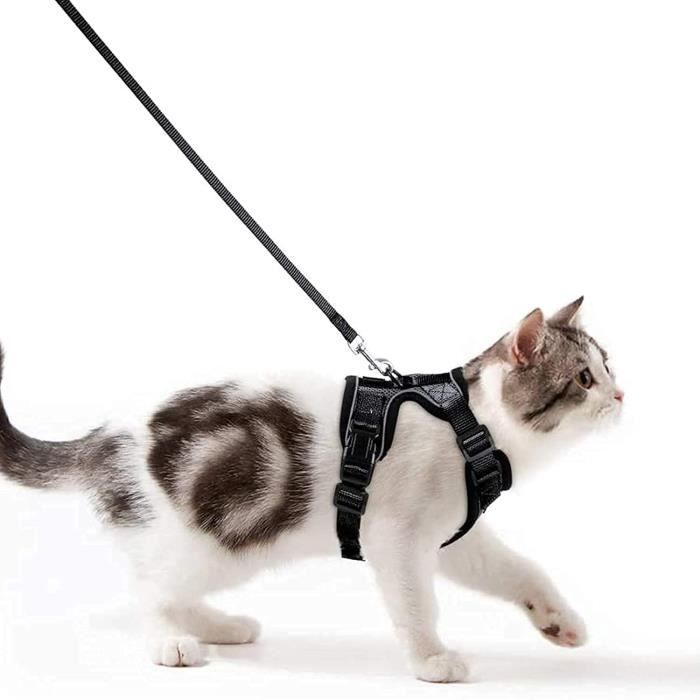 Meilleurs prix pour Harnais Chat avec Laisse, Harnais Chaton Respirant et Bande Réfléchissante Gilet Petit Chien Réglable - TAILLE S