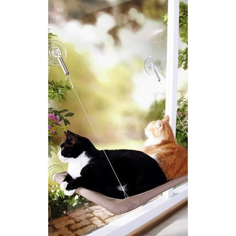 Oster sunny seat hot sale