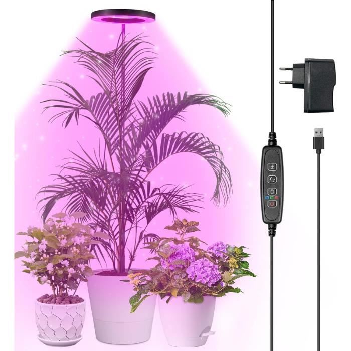 Nornward Lampe Led À Spectre Complet Pour Plantes D'Intérieur, 147 Cm — free download