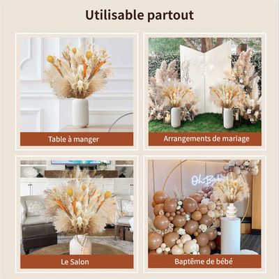 20 Pièces Fleur Artificielle De Roseau De Queue De Lapin Séchée Décor D