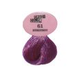 Crazy Color by Renbow - Coloration semi-permanente 61 - Burgundy - 100ml-0