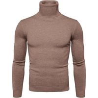 PULL - CHANDAIL Pull Col Roulé Homme Hiver Chaud Manches Longues Slim Fit Sweater Couleur Unie Jade