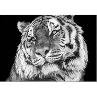 Tableau Panorama Tigre 50x35 cm - Imprimée sur Toile - Tableau Animaux
