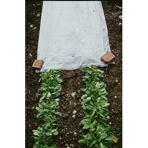 Voile D Hivernage 1 1mx250m 30g M2 Achat Vente Paillage