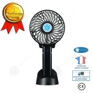  伟 祥 Petit ventilateur de Bureau à Fleurs - Mini ventilateur  Portable de Charge USB : Electronics