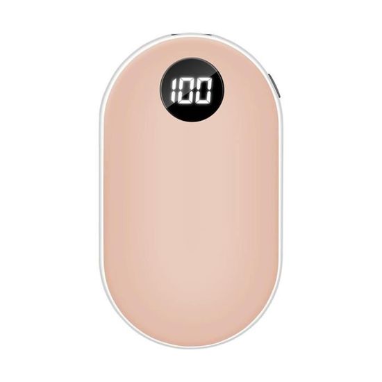 Lot De 2 Chaufferettes Mains Rechargeables 12000 MAh - Chauffage 3 Vitesses (95°F-131°F) - Cadeau Hiver Ski Camping
