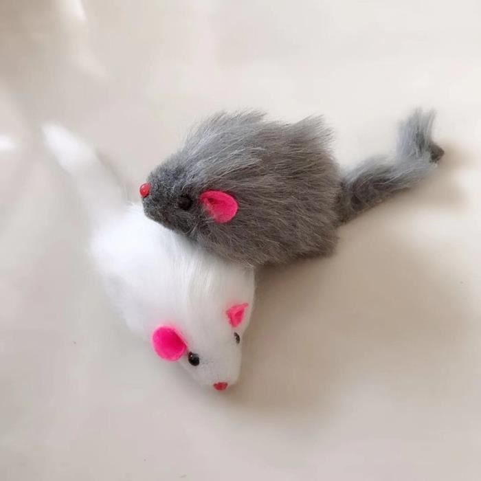 Jouet,5 pièces faux souris chat jouets pour animaux de compagnie chat à poils longs souris avec son cliquetis - Type 1pc random