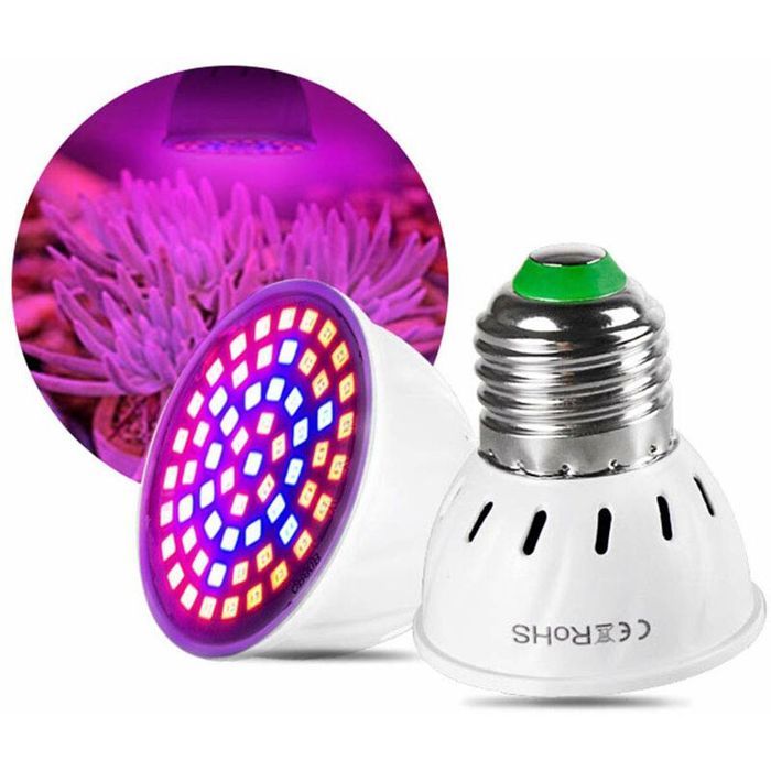 Qcwwy Lampe de Croissance de Plantes Lampe de Croissance de Plantes E27 Lampe de Croissance de Plantes à Effet de Serre Lumière d