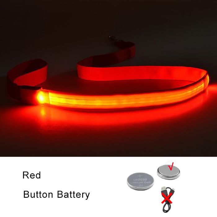 Laisse lumineuse pour chien - Phoesky - LED clignotante - 120x2 5 cm - Rouge - Étanche - Sangle en nylon