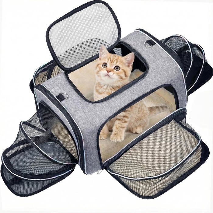 Sac de Transport pour Chat Extensible 4 Côtés Approuvé Compagnie Aérienne - pour Chats & Petits Chiens Voiture/Avion/Train Pliant