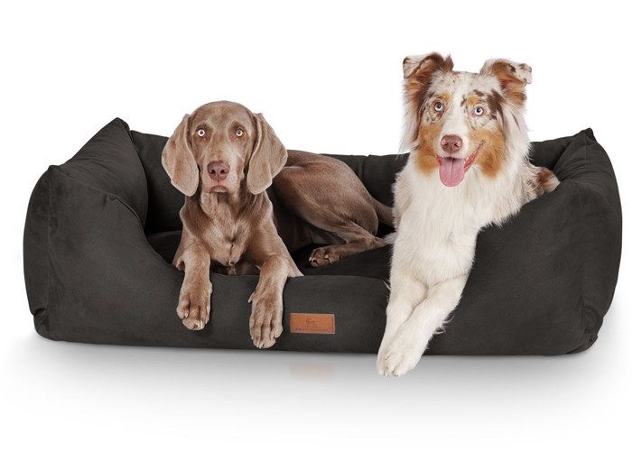 Knuffelwuff Dreamlinepanier Lit Coussin Corbeille Pour Chien Noir Xxxl 155 X 105cm