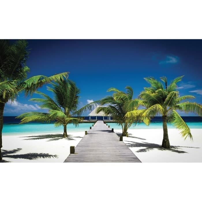 Papiers peints muraux 3393dk Palmiers sur la plage nappes papier peint ...