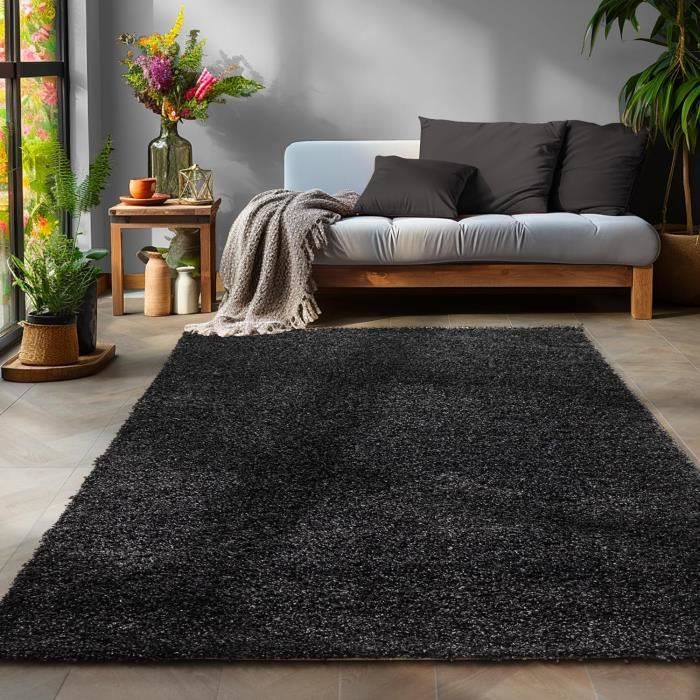Tapis Salon Poil Longnull