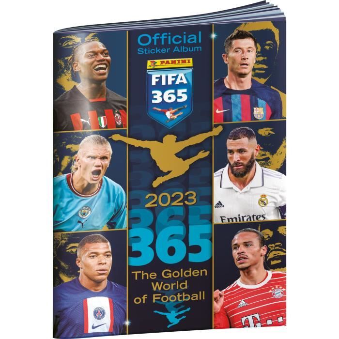 Classeur 4 Poches pour Cartes à Collectionner de Football avec 480 Poches, Album  Carte de Football