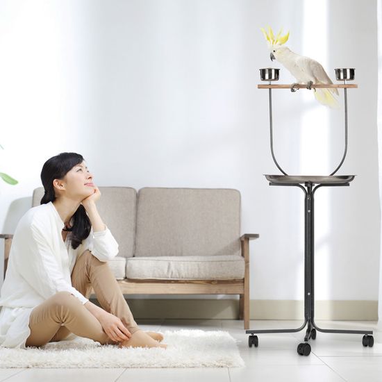 Perchoir Pour Perroquet PawHut Avec Roulettes - 2 Mangeoires En Acier Inox, Plateau Récupérateur 60 Cm - 111 Cm De Haut