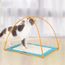 Couverture Pour Chat Animaux De Compagnie Jouet Avec Plume Pour Chat Orange Achat Vente Kit Jouet Activite Couverture Pour Chat Animau Cdiscount Couverture Pour Chat Animaux De Compagnie Jouet Avec Plume Pour Chat Orange Achat Vente Kit Jouet Activite Couverture Pour Chat Animau Cdiscount