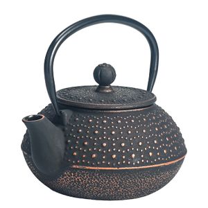 Théière Japonaise en fonte émaillée - noir ancien | Univers Théière