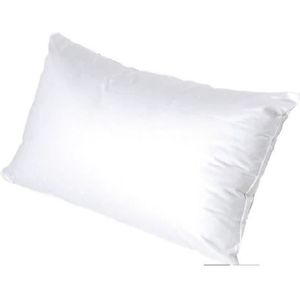 50/_x/_70/_cm Easytex Oreiller Moelleux