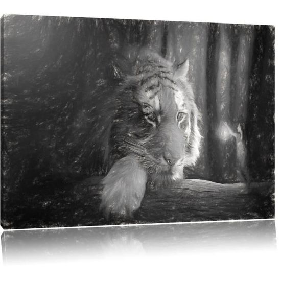 Une femme et un Tigre Geant Photo sur toile taille 120x80 cm Peinture murale Art Print pret couvert LFy10193 120x80 Cdiscount Maison