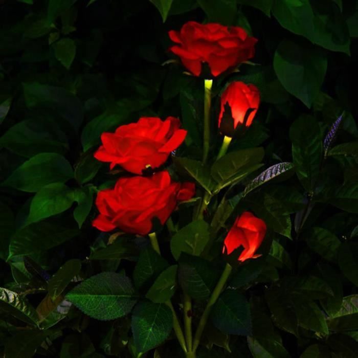 Lumières Solaires Extérieures Fleur,3 Pack Fleurs de Rose Lampes Solaires  de Solaires Féeriques Lampes Couleur Changement Pour[3473] - Cdiscount  Maison