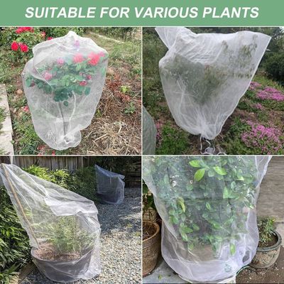 Filet De Protection Jardiland 2 Sacs De Protection Des Fruits, 46*46cm, Filet Anti-insectes à Mailles Filet Anti Oiseaux Pour Jardin Filet De Protection Jardiland 2 Sacs De Protection Des Fruits, 46*46cm, Filet Anti-insectes à Mailles Filet Anti Oiseaux Pour Jardin