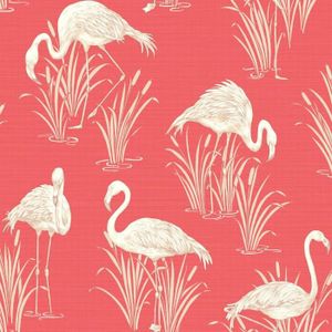 Scarica Gratis Images Lagon Vintage Flamant Papier Peint Corail Rot Arthouse 252601 le plus cool salutations