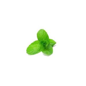 E liquide avec nicotine menthe