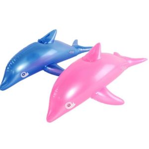 Dauphin Piscine Cdiscount Dauphin Piscine Cdiscount