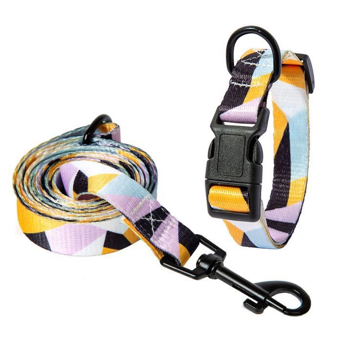 Ensemble collier et laisse pour chien (1 pièce) doux facile à nettoyer avec boucle pour petits et moyens chiens.M(24-42)