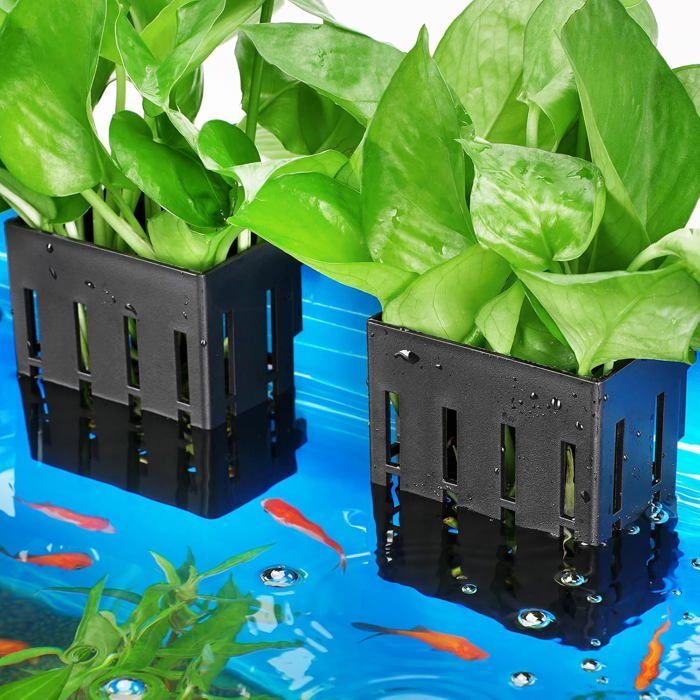 Meilleurs prix pour Support pour plantes aquatiques Borlech - Lot de 4 élégants supports noirs, parfaits pour votre aquarium!