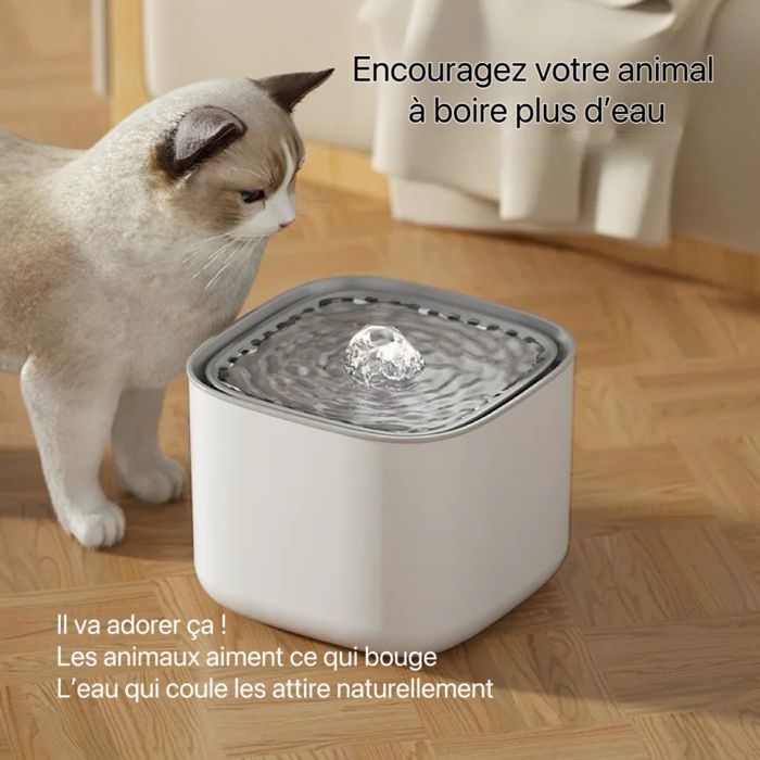 Comparer les prix de Fontaine à eau chat 3 L silencieuse filtre automatique LED USB grande capacité design arrondi – Blanc